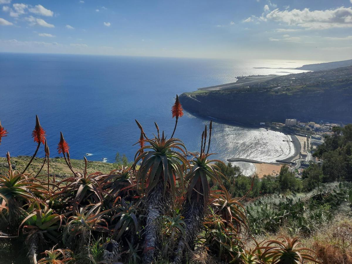 Sunny Beach Machico Apartment By Hr Madeira Экстерьер фото